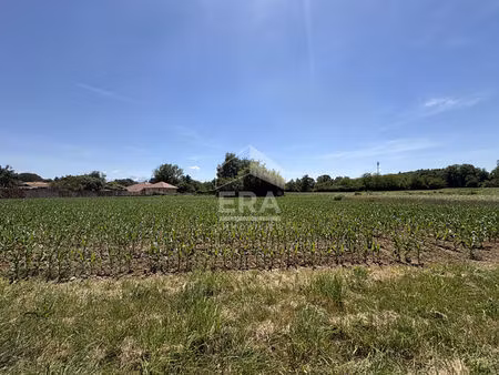 terrain à vendre de 2849m² à juillan  secteur recherché.