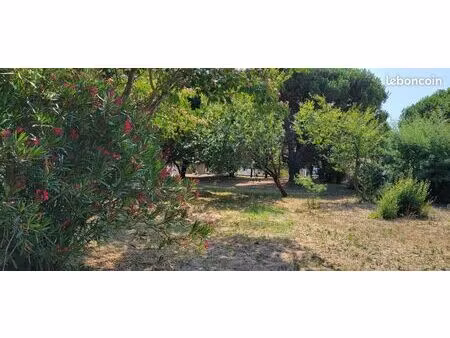 terrain constructible arboré - île d'oléron - 815 m²