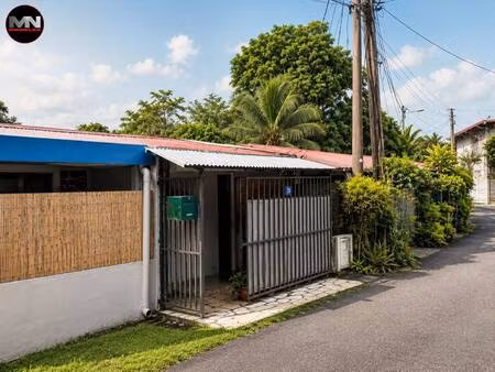mn immobilier