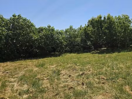 terrain 1 028 m² montracol