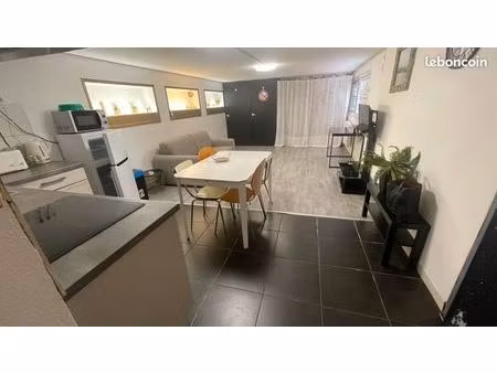 t1 bis meuble centre ville