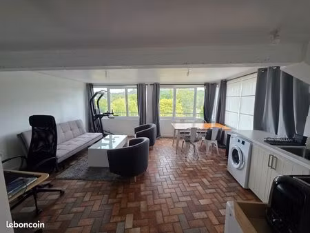 appartement 42m² vue sur parc