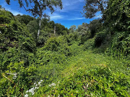 terrain 0 pièces 1300 m² à vendre / acheter villeneuve-lès-avignon 30400 ? | era immobilie