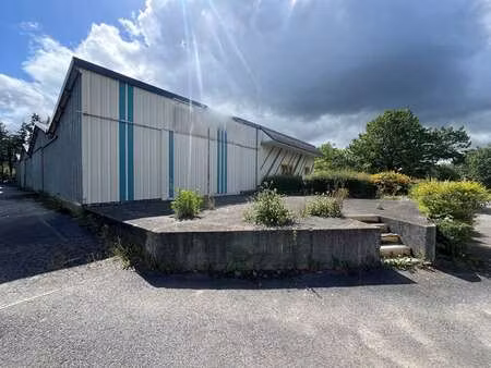 vente bureaux et commerces à saint-berthevin (53940) : à vendre / 710m² saint-berthevin