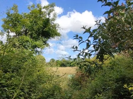 terrain de loisirs de 5 928 m² à thorigne