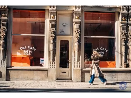 commercieel te huur in antwerpen