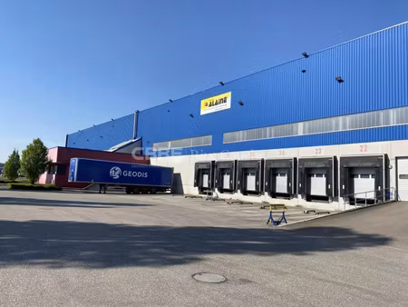 location entrepôt / local d'activités strasbourg 8 615 m²