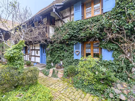 maisons de charme  jardin avec gîte maison d’hôtes fort potentiel.