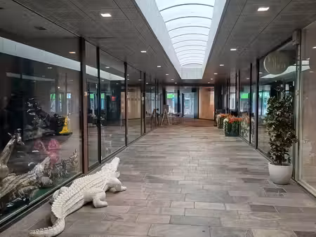commercieel te huur in mortsel