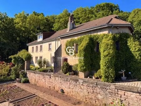 maison de 10 pièces de luxe en vente à saint-dié-des-vosges  grand est