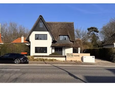 commercieel te huur in brasschaat