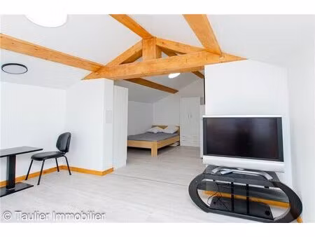 location appartement 1 pièce 28m² chatte 38160