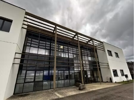 location local professionnel 1 909m² st priest 69800