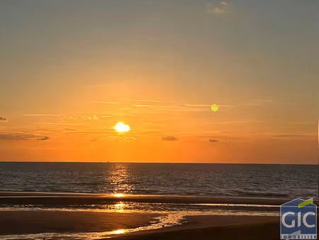 rare - plage de benerville