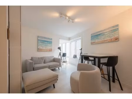 gezellig 1 slaapkamer appartement met zeezicht