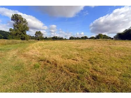 terrain - 419m ²