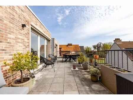 instapklare penthouse met zonneterras in wintam