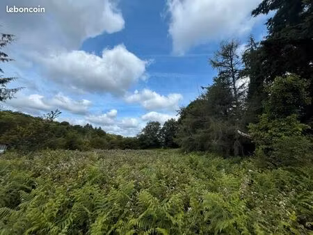 terrain 4 316 m² cieux