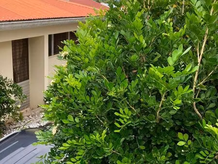 villa mitoyenne f4 en résidence calme et verdoyante