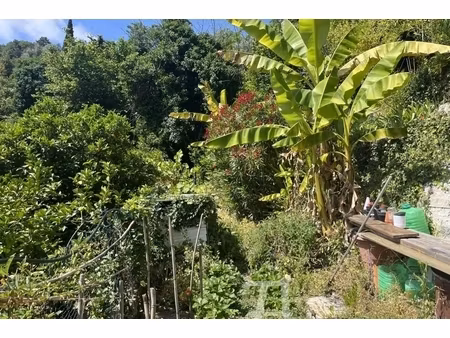 annonce maison à vendre