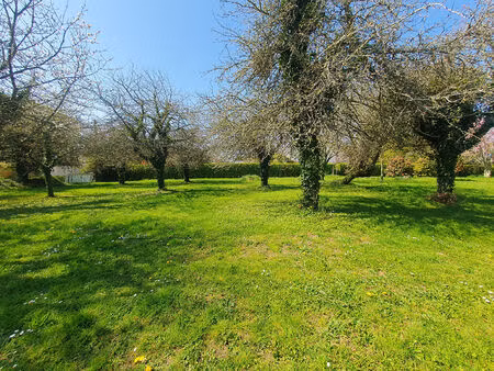 achat terrain 987m²