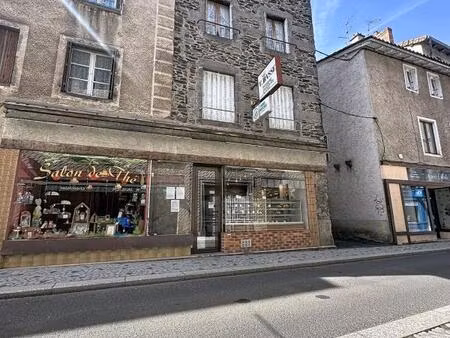 vente immeuble 134 m² saint-flour (15100)