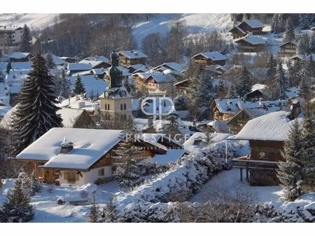 achat : appartement (74120)