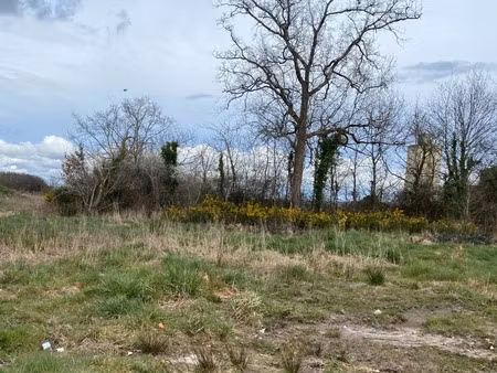 vente terrain 613 m² breuillet (17920)