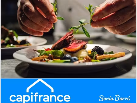 fonds de commerce à vendre quimper 3 pièce(s) 230m2 825 000€