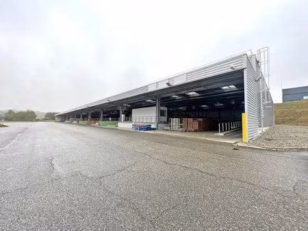 location entrepôt baziege 31450 3092m²