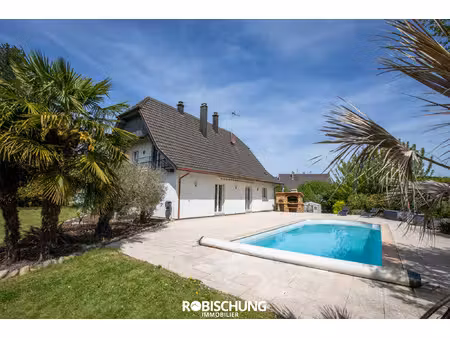 achat maison 6 pièces 165m² elbach 68210