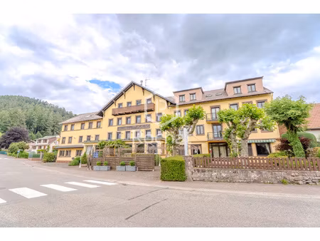 achat maison 50 pièces 2 086m² wangenbourg 67710