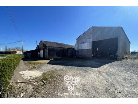 bâtisse en pierre à rénover + hangar - la regrippière