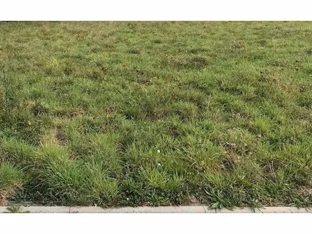 vente terrain 602 m² à chanu (61800)  15 652 €