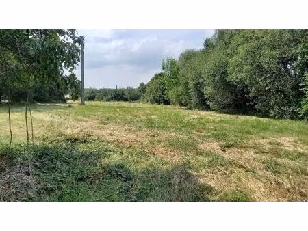 vente terrain 2500 m² nontron (24300)