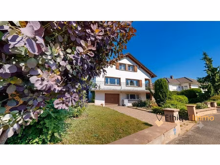 lampertheim maison 247 m² avec jardin sur 8 ares