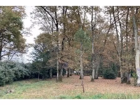 vente terrain à construire 441 m² le taillan-médoc (33320)