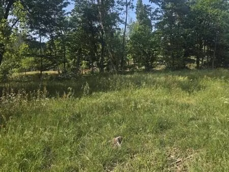 vente terrain à construire 1500 m² saint-selve (33650)