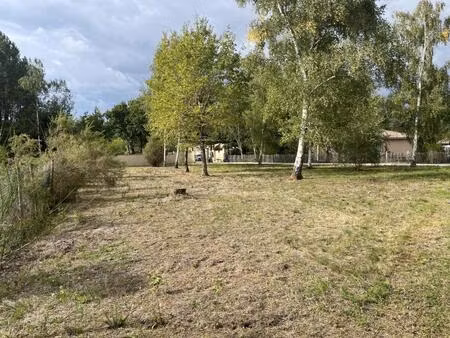 vente terrain à construire 1094 m² vensac (33590)