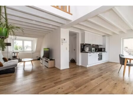 duplex