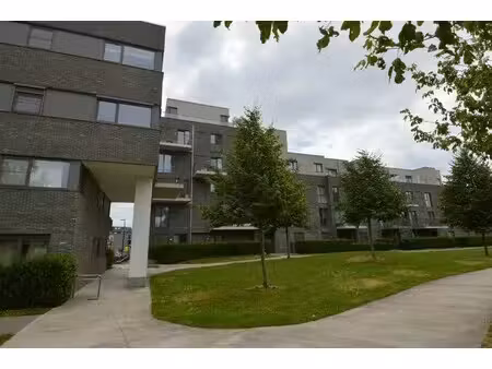 instapklaar 2 slaapkamer appartement in het centrum
