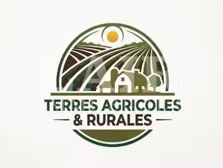 vente terrain à saint-germain-du-corbéis (61000) : à vendre / 225304m² saint-germain-du-co