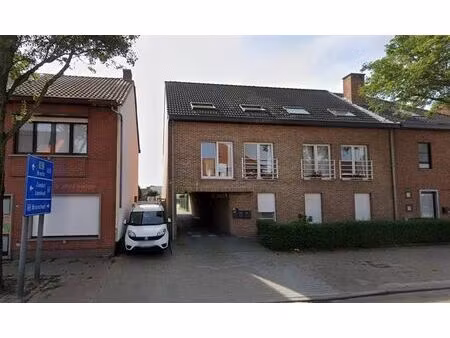 penthouse à louer à kalmthoutsesteenweg 25 wuustwezel (rbw17486)