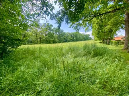 vente terrain 9155 m² rieumes (31370)