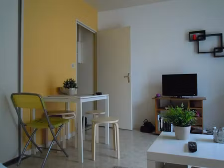 location appartement 1 pièce 22 m² à toulouse (31000)