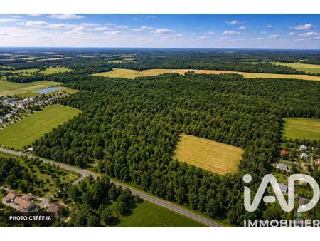 vente terrain 70599 m² saint-vivien-de-blaye (33920)