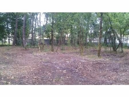 vente terrain 646 m² lugos (33830)