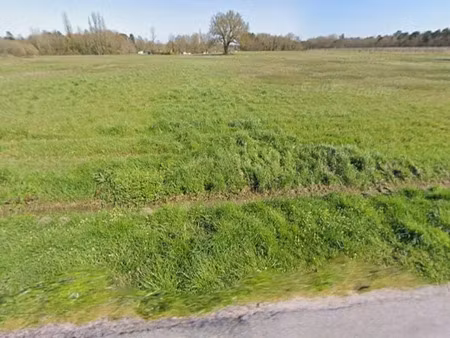 vente terrain 2537 m² saint-savin (33920)