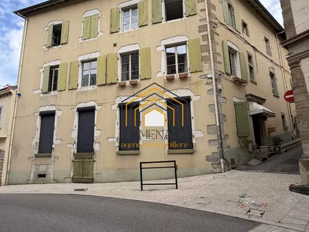 appartement t2 - 57 49 m² carrez / 78 m² au total - lumineux a