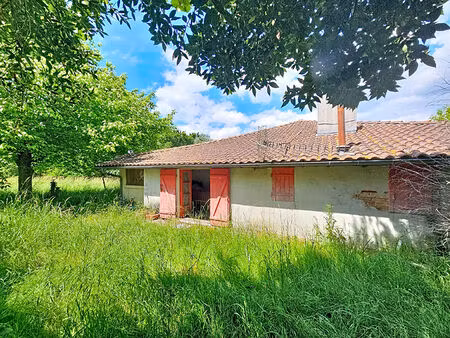 maison sanguinet a renover entierement ou demolir.
